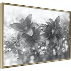 Arkiio Affisch Silver Bouquet [Poster] 45x30 Poster